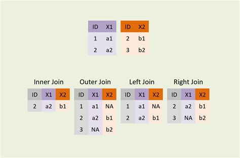 python dataframe merge